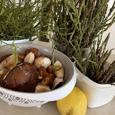 Bed & Breakfast Marina 3*