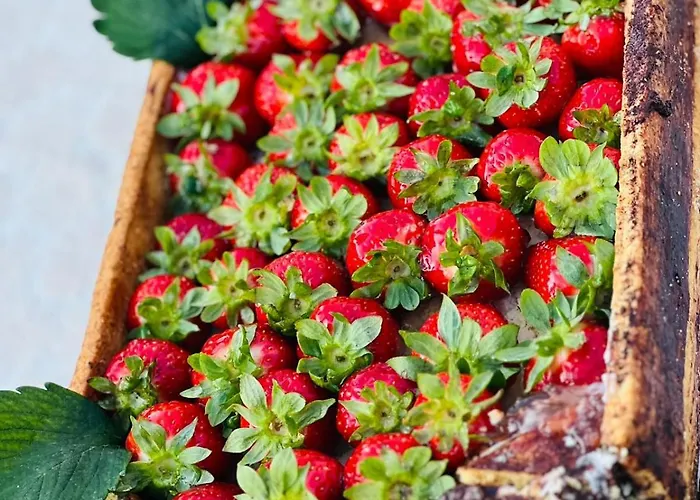 Marina Bed & Breakfast